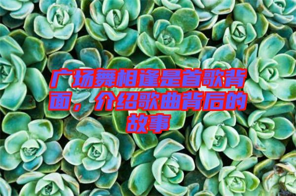 廣場舞相逢是首歌背面，介紹歌曲背后的故事