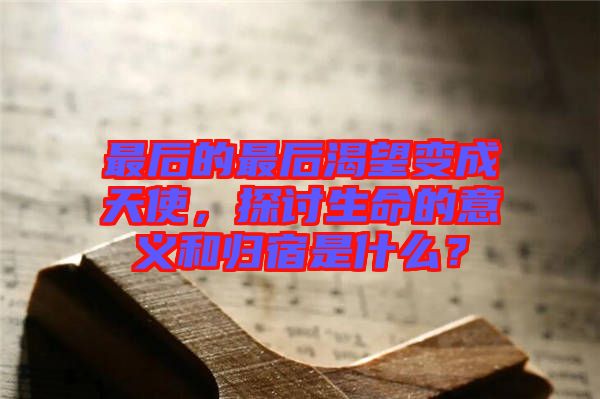 最后的最后渴望變成天使，探討生命的意義和歸宿是什么？