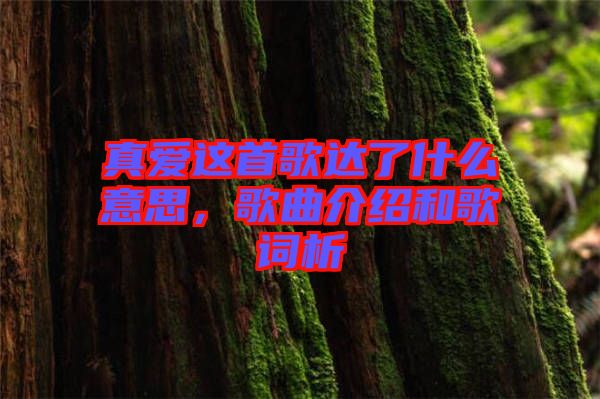 真愛這首歌達了什么意思，歌曲介紹和歌詞析