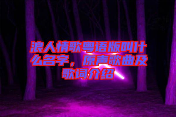 浪人情歌粵語版叫什么名字，原聲歌曲及歌詞介紹