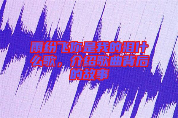 雨紛飛你是我的淚什么歌，介紹歌曲背后的故事