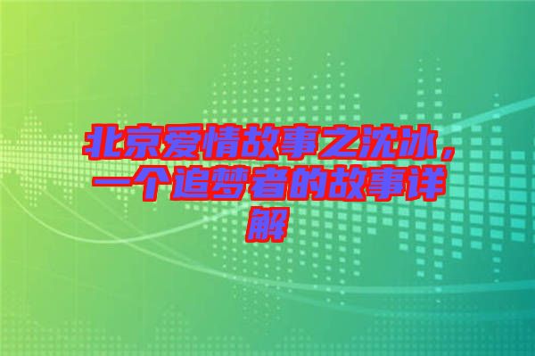 北京愛情故事之沈冰，一個追夢者的故事詳解