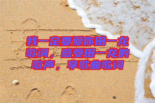 我一定要愛你田一龍歌詞，感受田一龍的歌聲，享歌曲歌詞