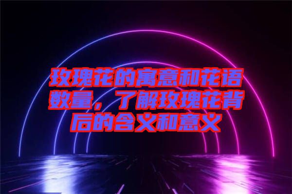 玫瑰花的寓意和花語數(shù)量，了解玫瑰花背后的含義和意義