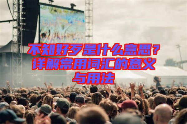 不知好歹是什么意思？詳解常用詞匯的意義與用法