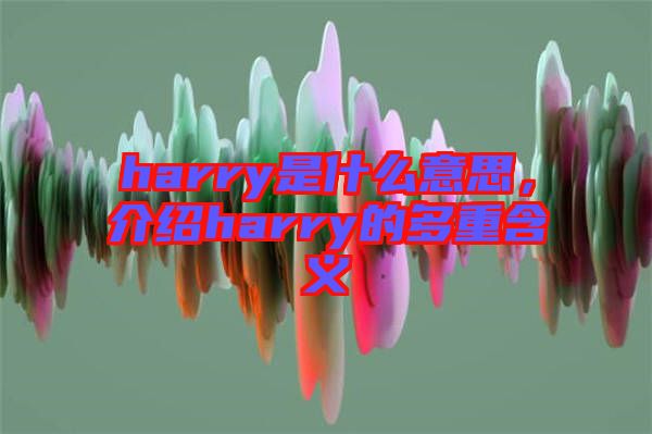 harry是什么意思，介紹harry的多重含義