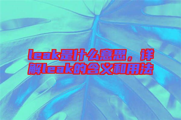 leak是什么意思，詳解leak的含義和用法