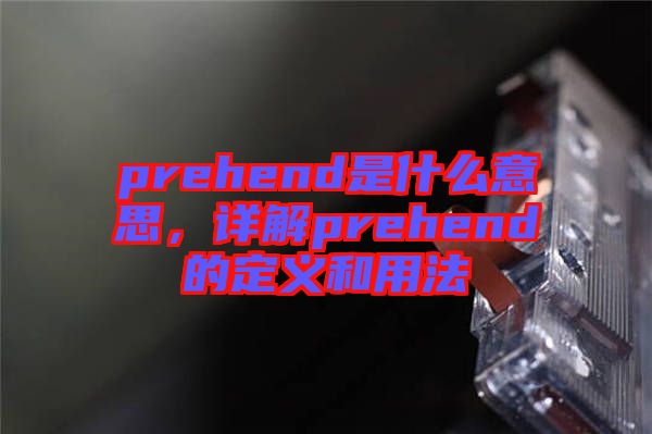 prehend是什么意思，詳解prehend的定義和用法