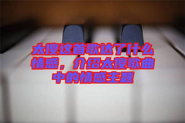 太傻這首歌達(dá)了什么情感，介紹太傻歌曲中的情感主題