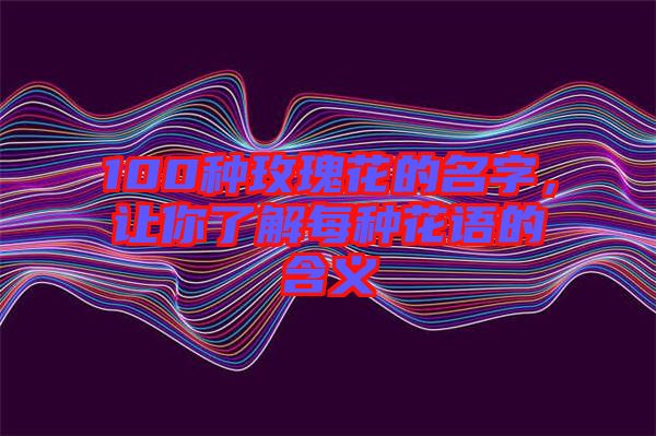 100種玫瑰花的名字，讓你了解每種花語的含義