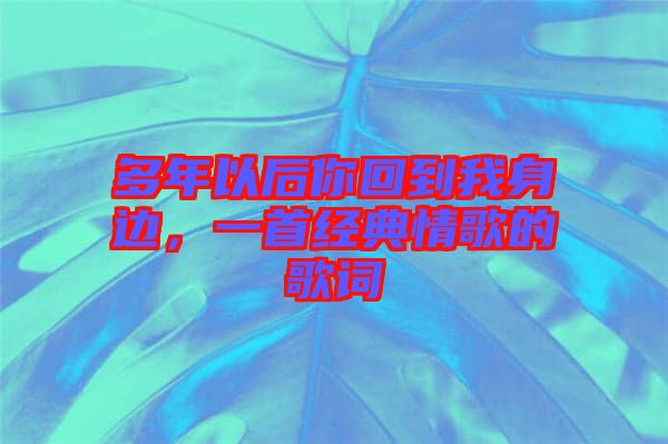 多年以后你回到我身邊，一首經(jīng)典情歌的歌詞