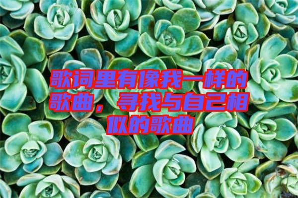 歌詞里有像我一樣的歌曲，尋找與自己相似的歌曲