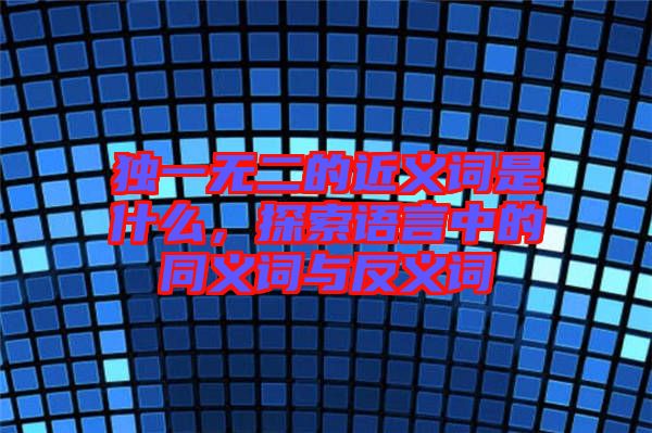 獨(dú)一無(wú)二的近義詞是什么，探索語(yǔ)言中的同義詞與反義詞