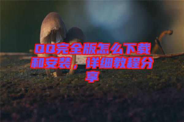 QQ完全版怎么下載和安裝，詳細(xì)教程分享