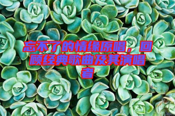 忘不了的情緣原唱，回顧經(jīng)典歌曲及其演唱者