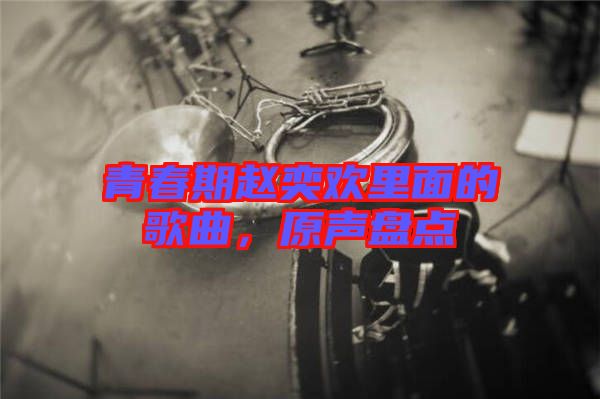 青春期趙奕歡里面的歌曲，原聲盤(pán)點(diǎn)