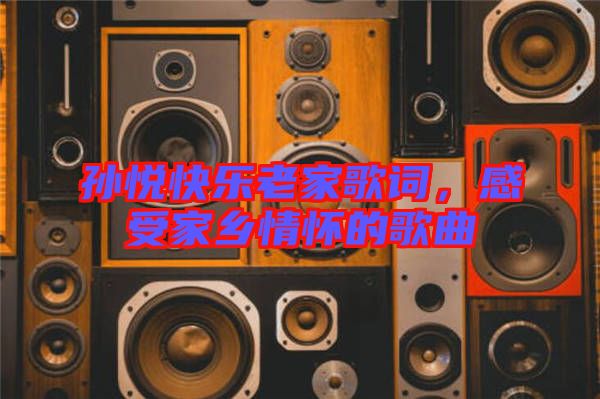 孫悅快樂老家歌詞，感受家鄉(xiāng)情懷的歌曲