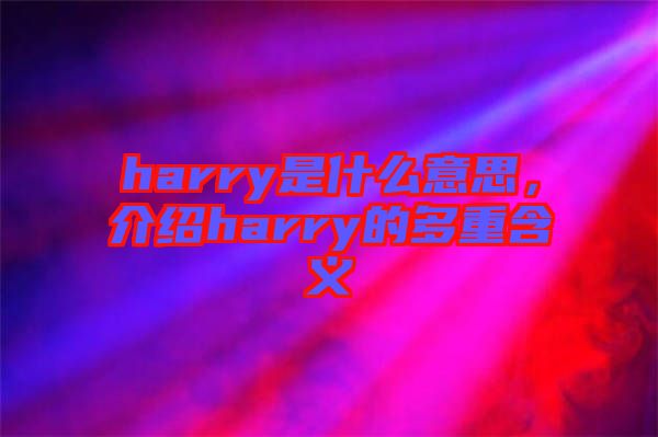 harry是什么意思，介紹harry的多重含義