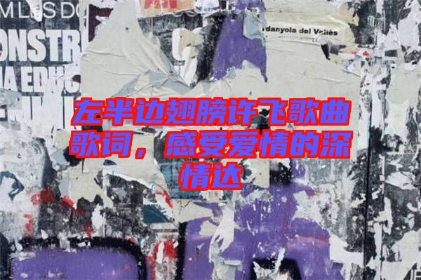 左半邊翅膀許飛歌曲歌詞，感受愛情的深情達