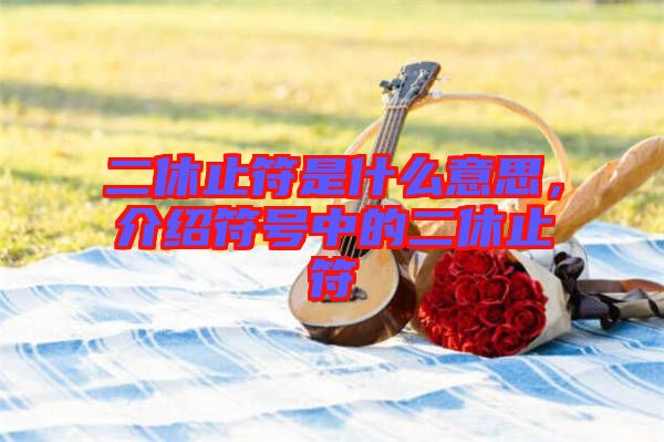 二休止符是什么意思，介紹符號(hào)中的二休止符