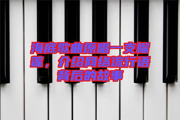 海底歌曲原唱一支榴蓮，介紹網(wǎng)絡流行語背后的故事