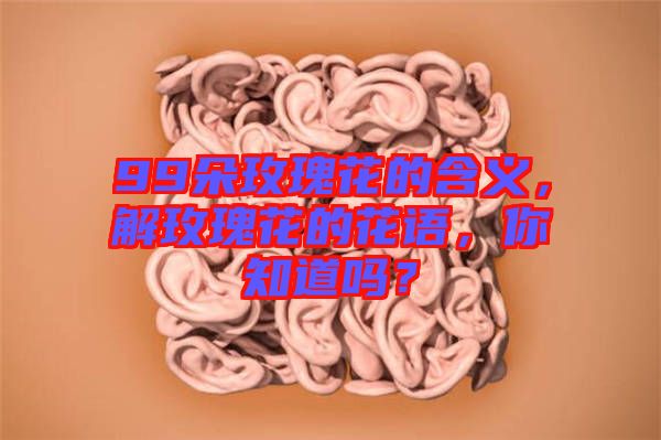 99朵玫瑰花的含義，解玫瑰花的花語，你知道嗎？