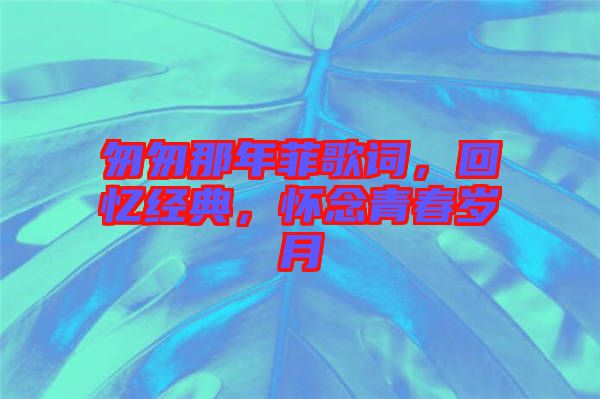 匆匆那年菲歌詞，回憶經典，懷念青春歲月