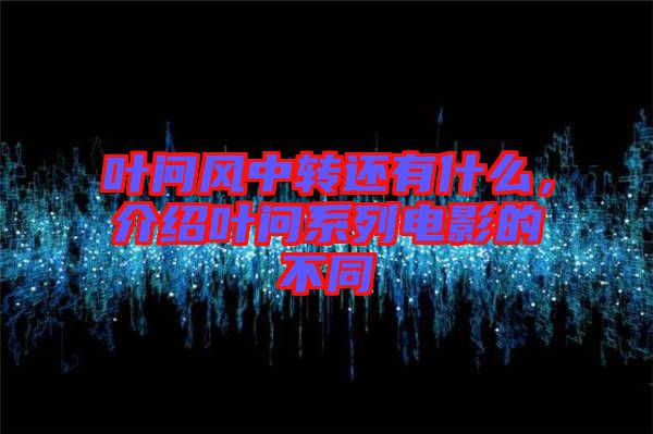 葉問風(fēng)中轉(zhuǎn)還有什么，介紹葉問系列電影的不同