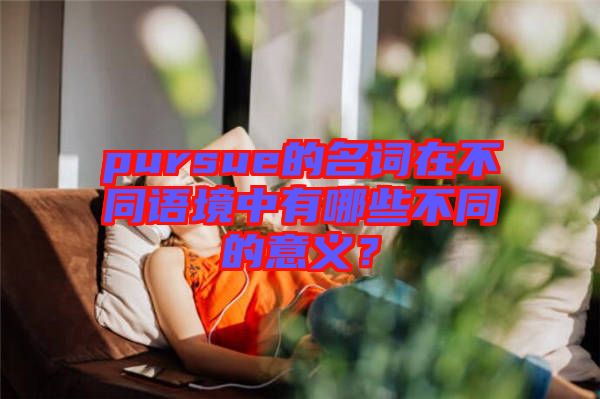 pursue的名詞在不同語(yǔ)境中有哪些不同的意義？