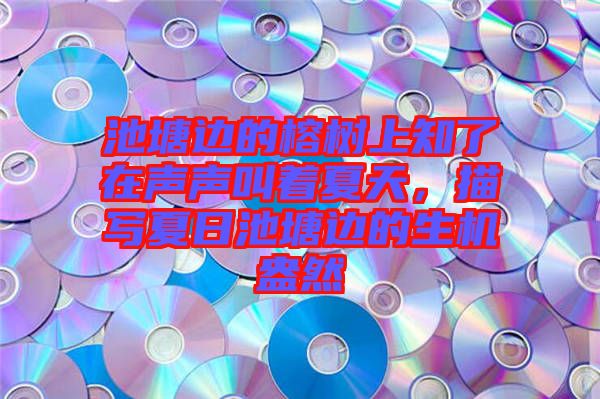 池塘邊的榕樹上知了在聲聲叫著夏天，描寫夏日池塘邊的生機(jī)盎然