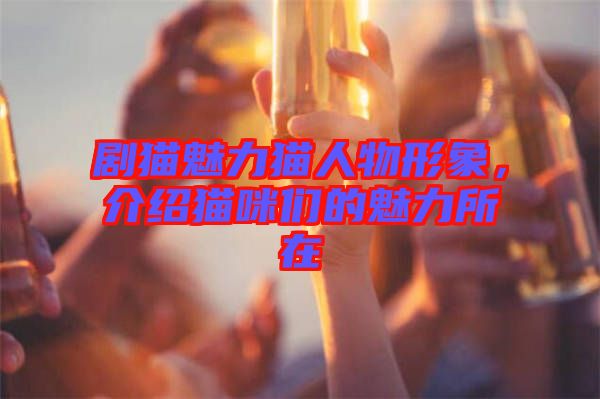 劇貓魅力貓人物形象，介紹貓咪們的魅力所在