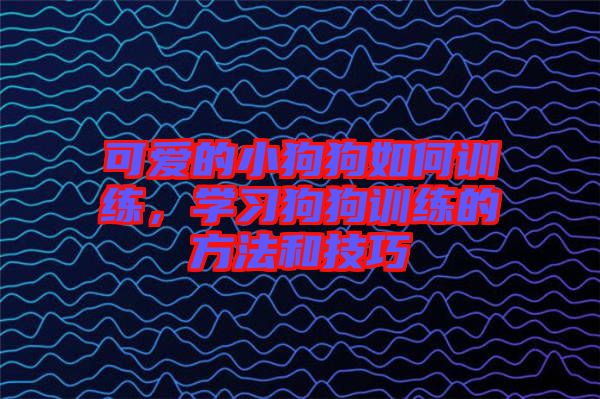 可愛的小狗狗如何訓(xùn)練，學(xué)習(xí)狗狗訓(xùn)練的方法和技巧