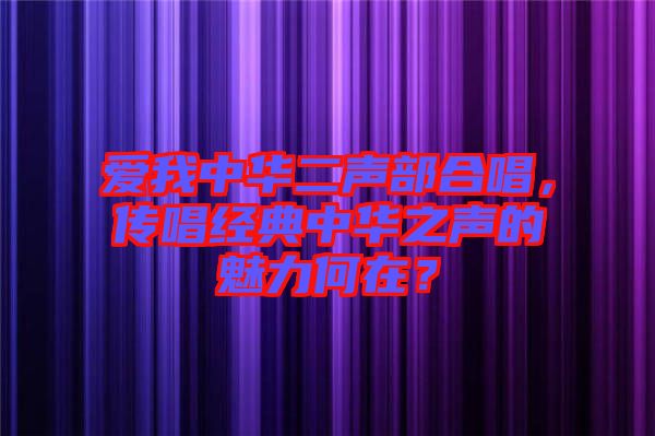 愛我中華二聲部合唱，傳唱經(jīng)典中華之聲的魅力何在？