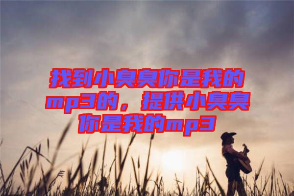 找到小臭臭你是我的mp3的，提供小臭臭你是我的mp3