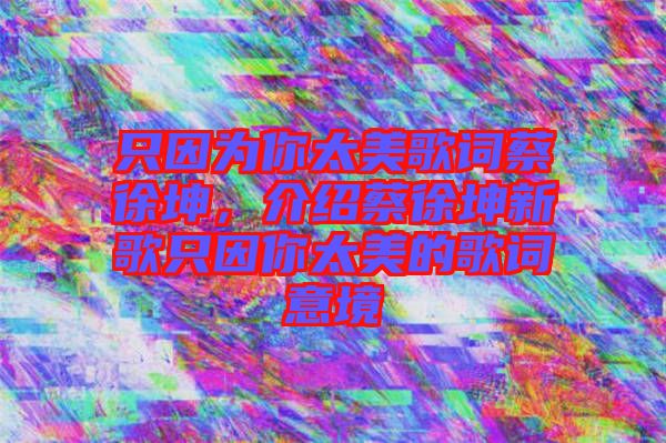 只因?yàn)槟闾栏柙~蔡徐坤，介紹蔡徐坤新歌只因你太美的歌詞意境