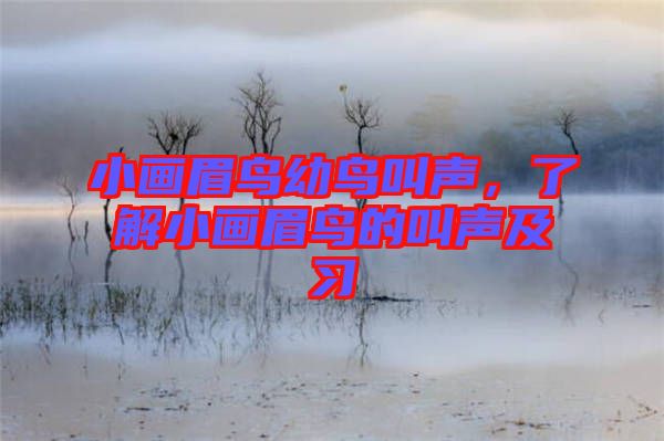 小畫(huà)眉鳥(niǎo)幼鳥(niǎo)叫聲，了解小畫(huà)眉鳥(niǎo)的叫聲及習(xí)