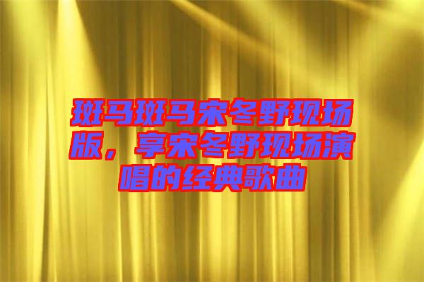 斑馬斑馬宋冬野現(xiàn)場版，享宋冬野現(xiàn)場演唱的經(jīng)典歌曲