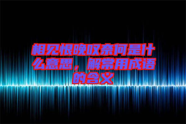 相見(jiàn)恨晚嘆奈何是什么意思，解常用成語(yǔ)的含義