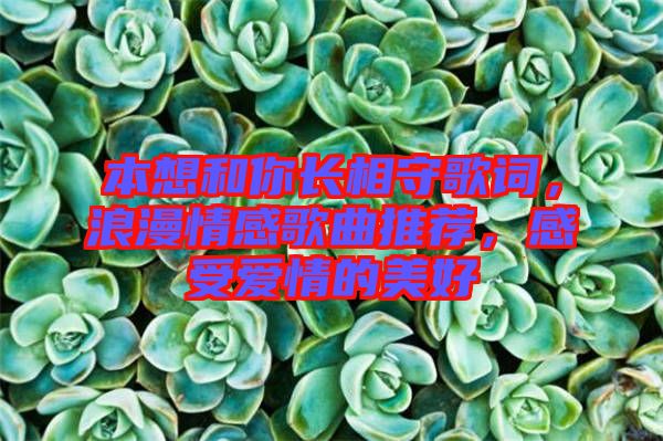 本想和你長相守歌詞，浪漫情感歌曲推薦，感受愛情的美好