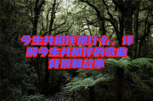 今生共相伴是什么，詳解今生共相伴的歌曲背景和故事