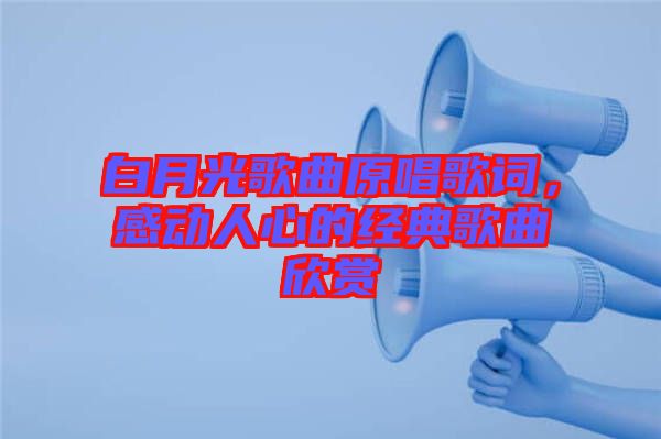 白月光歌曲原唱歌詞，感動(dòng)人心的經(jīng)典歌曲欣賞