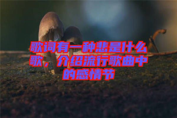 歌詞有一種悲是什么歌，介紹流行歌曲中的感情節(jié)