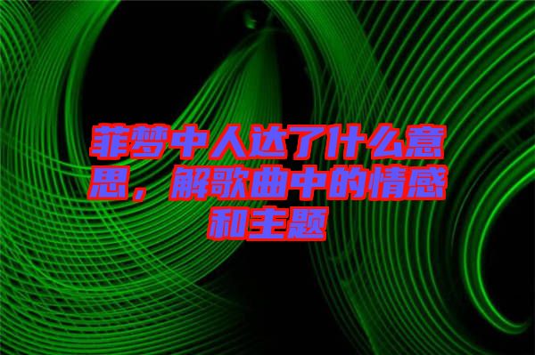 菲夢中人達(dá)了什么意思，解歌曲中的情感和主題