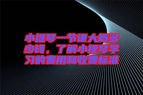 小提琴一節(jié)課大概多少錢，了解小提琴學(xué)習(xí)的費(fèi)用和收費(fèi)標(biāo)準(zhǔn)