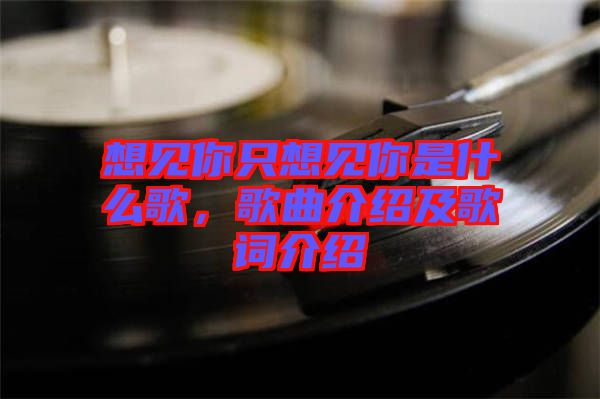 想見你只想見你是什么歌，歌曲介紹及歌詞介紹