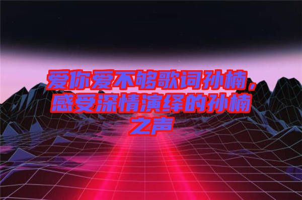 愛你愛不夠歌詞孫楠，感受深情演繹的孫楠之聲