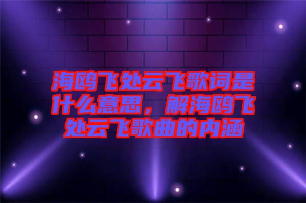 海鷗飛處云飛歌詞是什么意思，解海鷗飛處云飛歌曲的內(nèi)涵