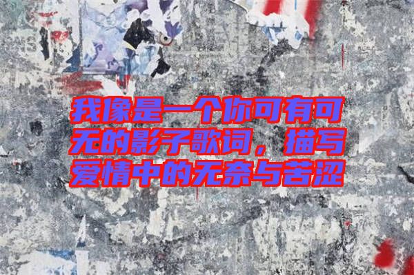 我像是一個(gè)你可有可無(wú)的影子歌詞，描寫(xiě)愛(ài)情中的無(wú)奈與苦澀