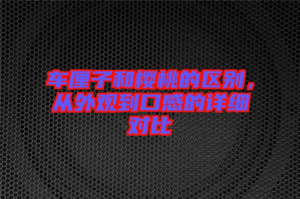 車?yán)遄雍蜋烟业膮^(qū)別，從外觀到口感的詳細(xì)對比