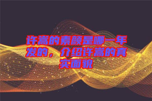 許嵩的素顏是哪一年發(fā)的，介紹許嵩的真實(shí)面貌